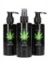 CBD - Bath and shower - care set - green tea hemp oil